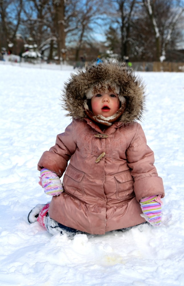 8458997788_1ed238211d_b