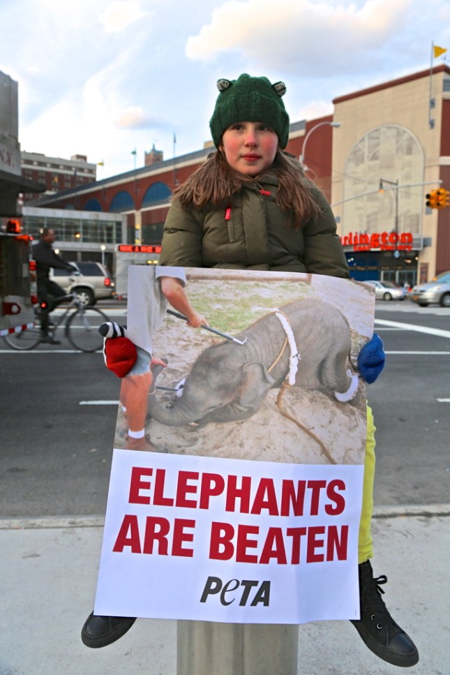 8578183395_0ff5323d78_b