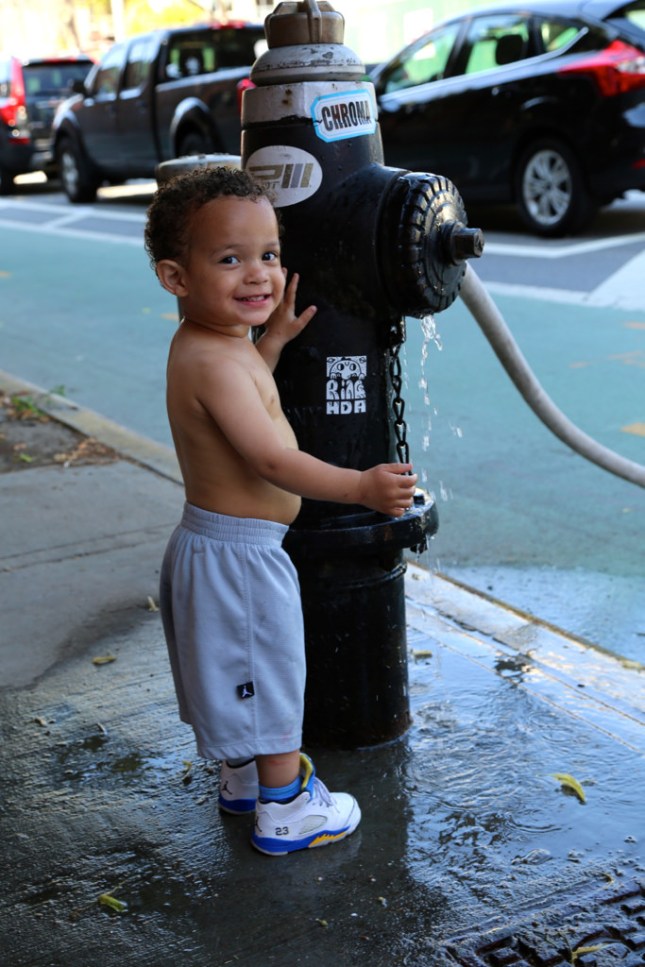 14568132516_4d69648eb2_b