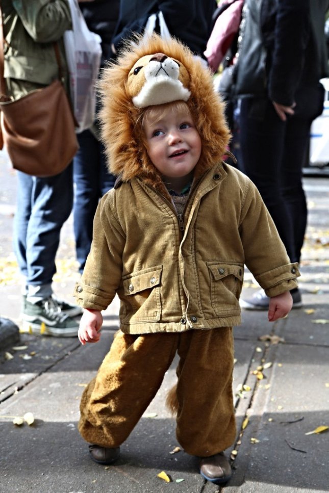 15511227658_81c415f49e_b